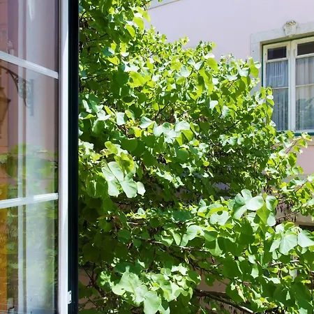 Affittacamere Lost :: Chiado House 3*